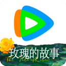 长腿 动物