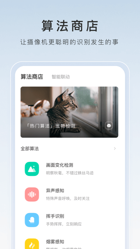 长腿昆虫像蚊子截图
